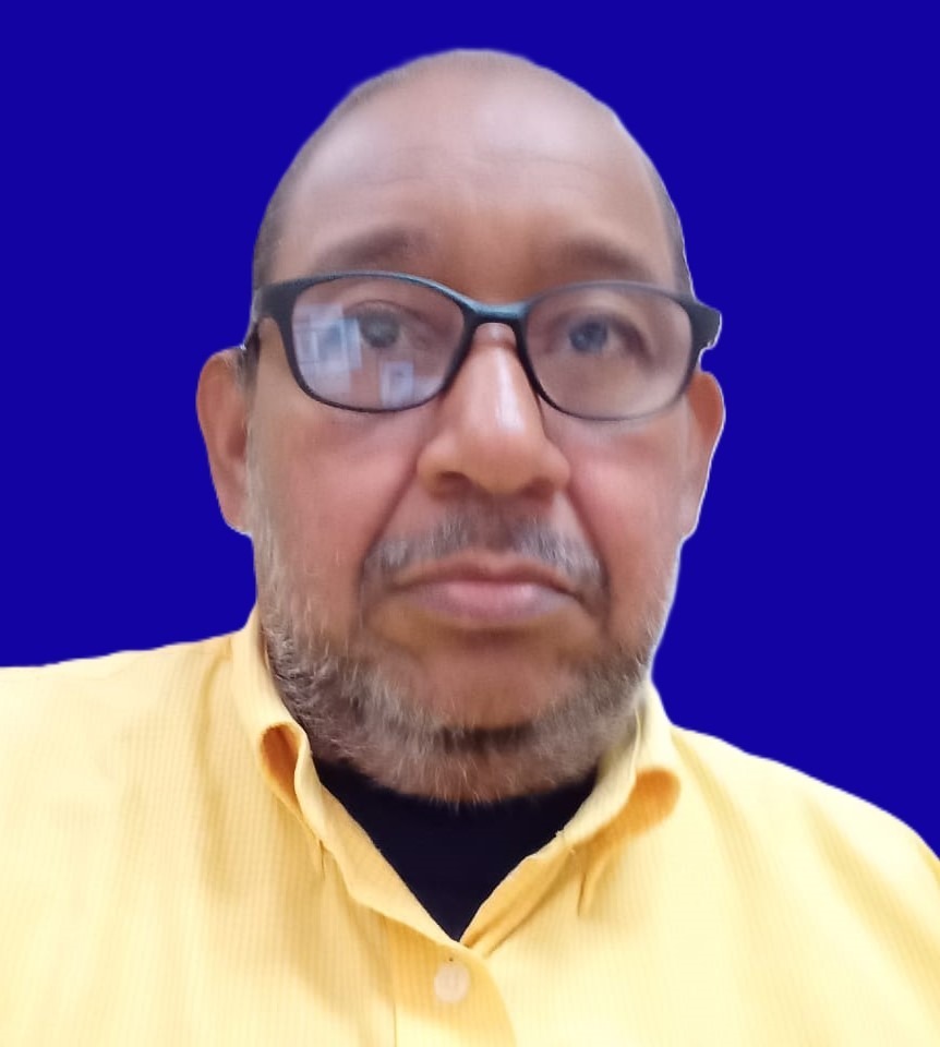 Ing. Luis Amaury Cedano